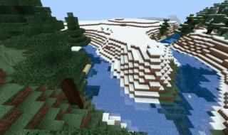 植物妈妈传播种子的方法