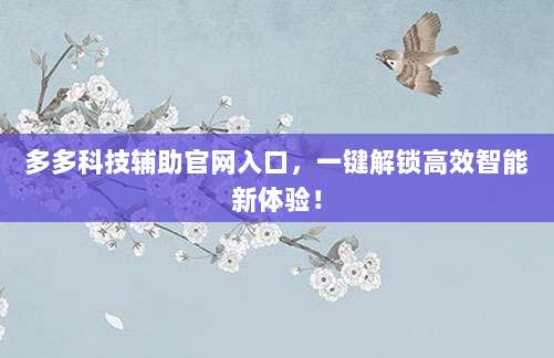 多多科技辅助官网入口，一键解锁高效智能新体验！