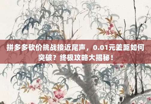 拼多多砍价挑战接近尾声，0.01元差距如何突破？终极攻略大揭秘！