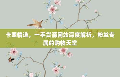 卡盟精选，一手货源网站深度解析，粉丝专属的购物天堂