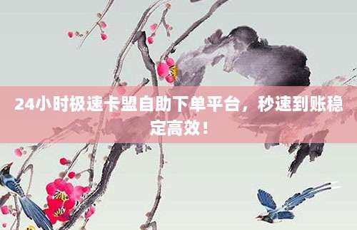 24小时极速卡盟自助下单平台，秒速到账稳定高效！