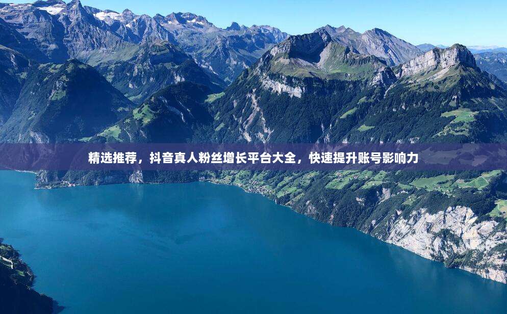 精选推荐，抖音真人粉丝增长平台大全，快速提升账号影响力