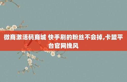 微商激活码商城 快手刷的粉丝不会掉,卡盟平台官网挽风