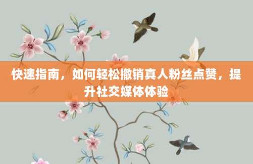 快速指南，如何轻松撤销真人粉丝点赞，提升社交媒体体验