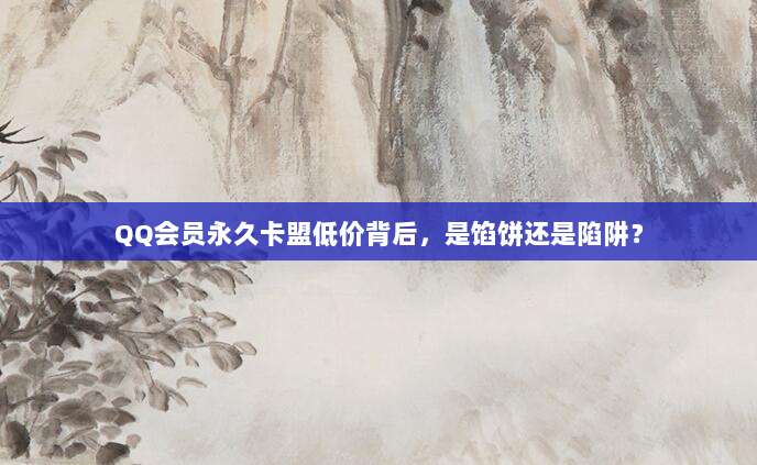 QQ会员永久卡盟低价背后，是馅饼还是陷阱？