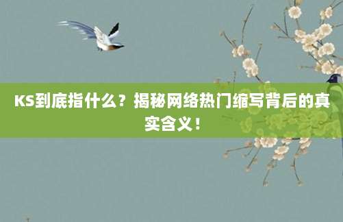 KS到底指什么？揭秘网络热门缩写背后的真实含义！