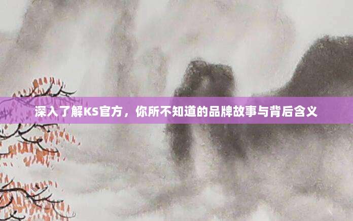深入了解KS官方，你所不知道的品牌故事与背后含义