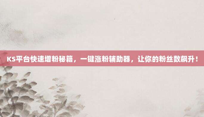 KS平台快速增粉秘籍，一键涨粉辅助器，让你的粉丝数飙升！