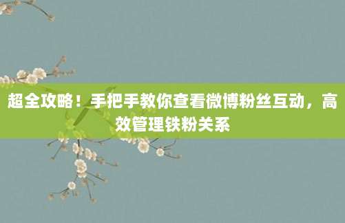 超全攻略！手把手教你查看微博粉丝互动，高效管理铁粉关系