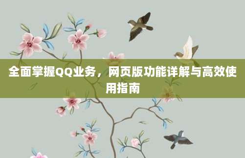 全面掌握QQ业务，网页版功能详解与高效使用指南