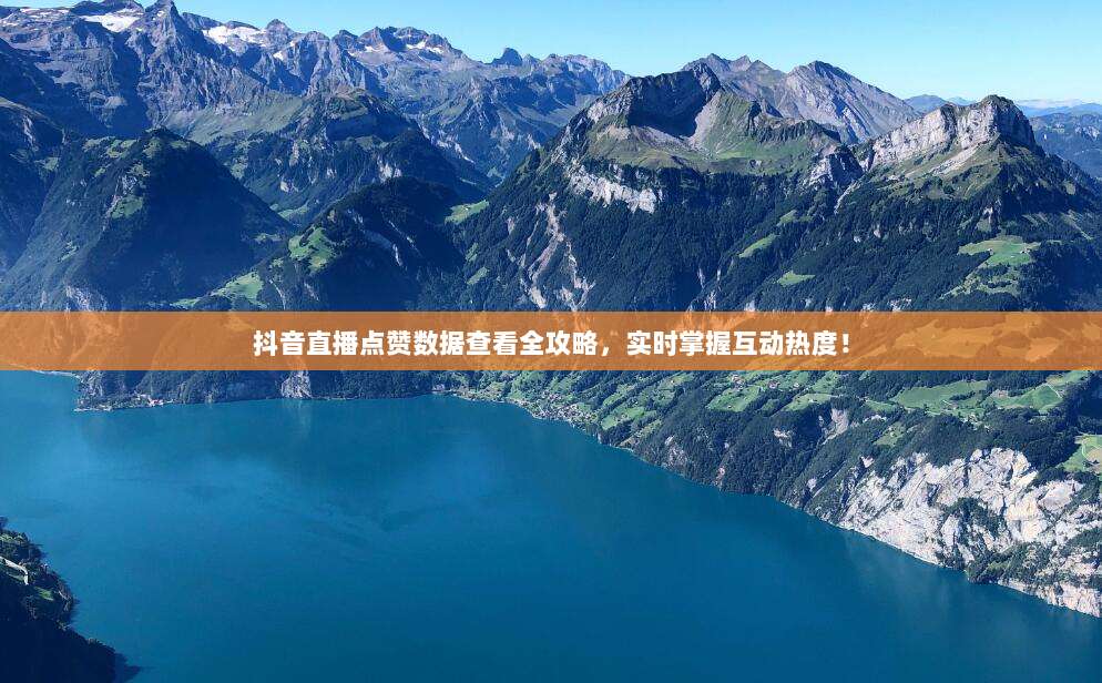 抖音直播点赞数据查看全攻略，实时掌握互动热度！