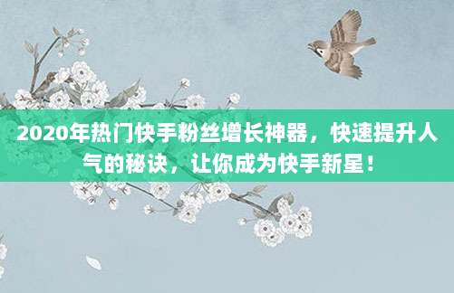 2020年热门快手粉丝增长神器，快速提升人气的秘诀，让你成为快手新星！