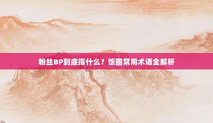 粉丝BP到底指什么？饭圈常用术语全解析