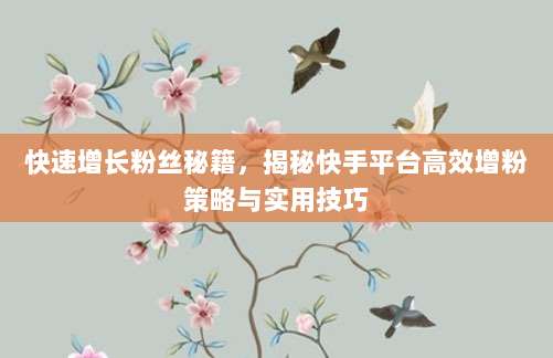 快速增长粉丝秘籍，揭秘快手平台高效增粉策略与实用技巧