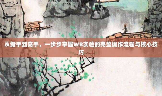 从新手到高手，一步步掌握WB实验的完整操作流程与核心技巧
