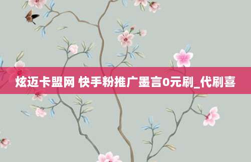 炫迈卡盟网 快手粉推广墨言0元刷_代刷喜